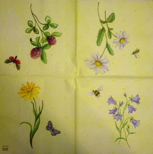263 Daisies  - 3 ply - (blue) - Home Fashion